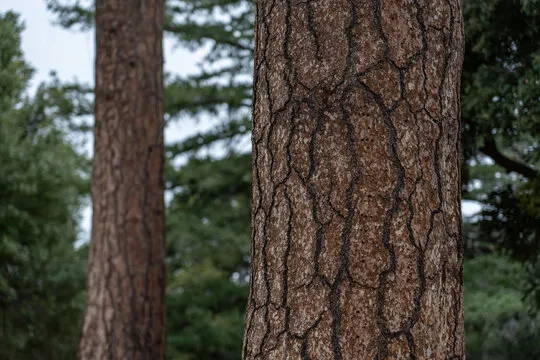 焦点娱乐 平台界面
